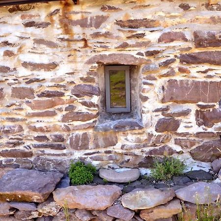 Secluded Cottage Nestled In The Beara Peninsula Killarney Extérieur photo
