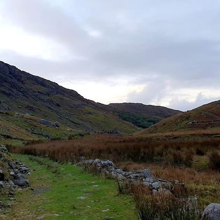 Secluded Cottage Nestled In The Beara Peninsula Killarney Extérieur photo