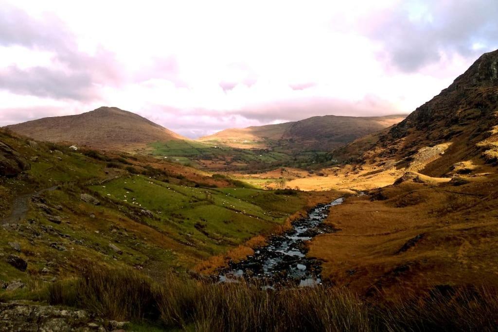 Secluded Cottage Nestled In The Beara Peninsula Killarney Extérieur photo