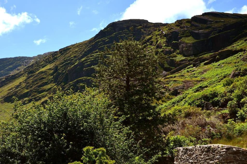 Secluded Cottage Nestled In The Beara Peninsula Killarney Extérieur photo